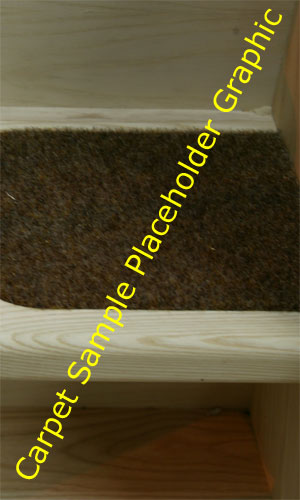 Carpet Swatch Carpet Swatch